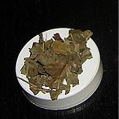 Neem (Azadirachta indica) mielony BIO 5 x 100g